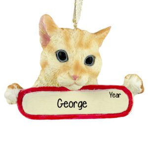 Image of ORANGE TABBY CAT On Banner Personalized Ornament
