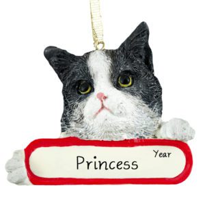 Image of Personalized BLACK & WHITE Cat On Banner Ornament