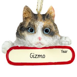 Image of Personalized CALICO CAT On Banner Christmas Ornament