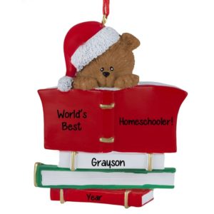 Image of Homeschooled Student Bear Atop Book Personalized Ornament