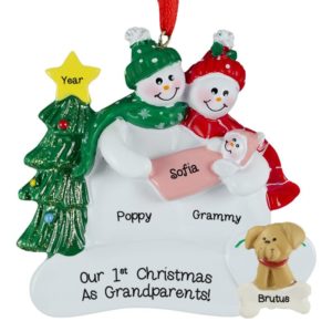 Image of Grandparents Hold Baby GIRL With Dog Personalized Ornament