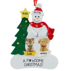 Image of Snowman With 1 Cat And 1 Dog Personalized Ornament