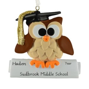 Image of Middle School Graduation Owl Glittered Tassel Ornament