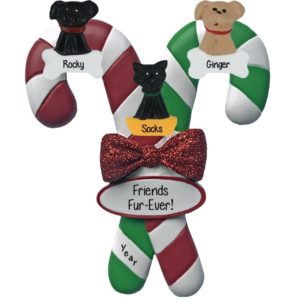 Image of Personalized 3 Pets On Candy Cane Glittered Bow Ornament