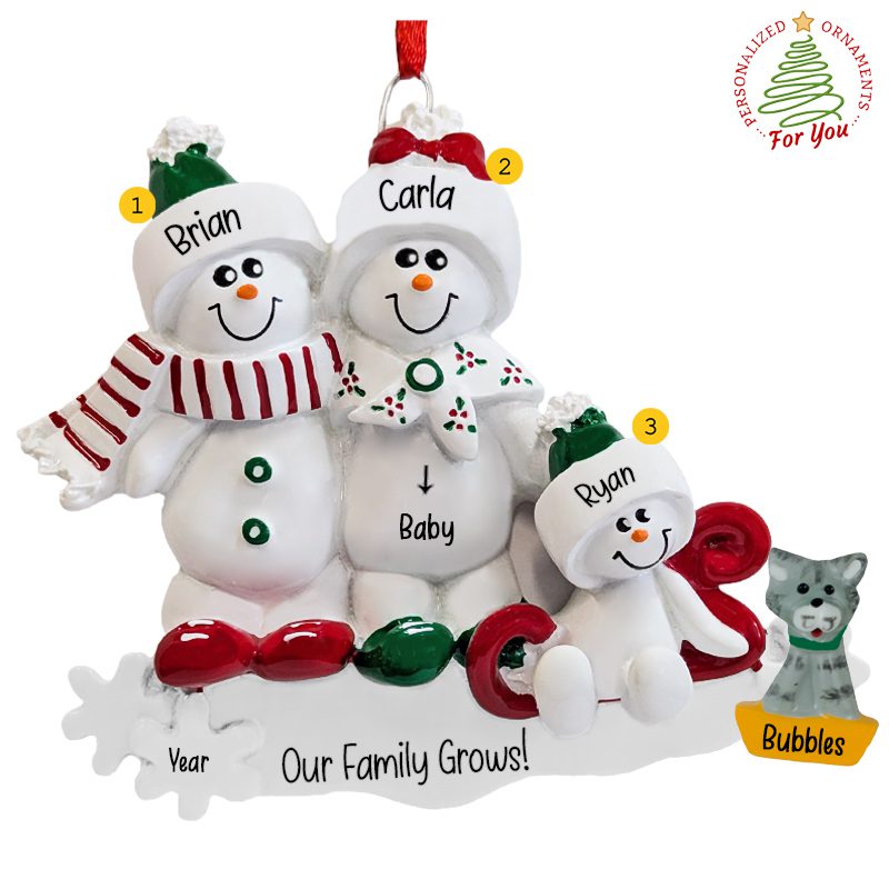 Expecting Sled Snow Family Of 3 With CAT Ornament | Personalized ...