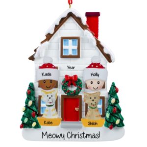 Image of Biracial Couple + 2 Cats Christmasy House Ornament