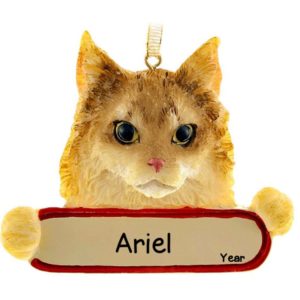 Image of MAINE COON CAT On Banner Ornament