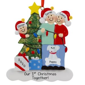 Image of Couple With 1 Child And 4 Pets Stringing Lights Ornament