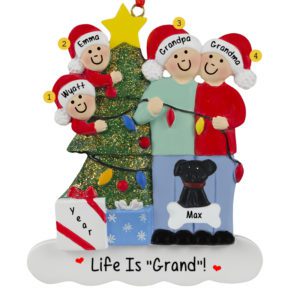 Image of Grandparents With 2 Grandkids And 1 Dog Stringing Lights Ornament