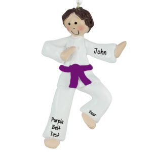 Image of Personalized Karate Boy PURPLE Belt Ornament BROWN Hair