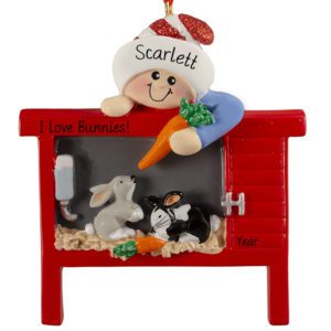 Image of Personalized Child Loves Bunnies In Hutch Ornament