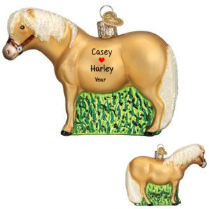 Image of Personalized Shetland Pony Glittered Glass 3-D Ornament