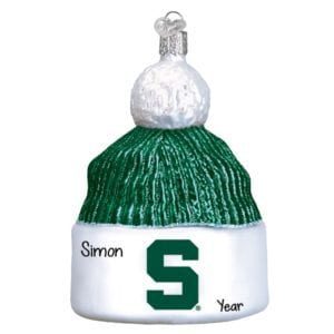 Michigan State Spartans College Teams Category Image