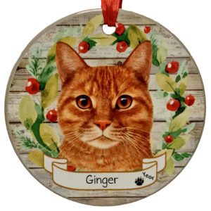 Image of ORANGE Tabby Cat Personalized Ceramic Wreath Ornament
