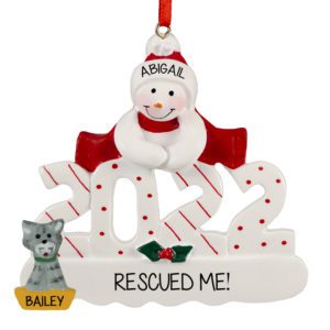 Image of 2022 Personalized Snowman With Rescued Cat Ornament