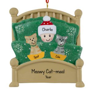 Image of Person With 2 Cats Snuggled Together In Green Glittered Bed Ornament