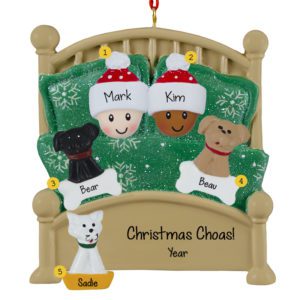 Image of Interracial Couple Cuddled With 3 Pets In Green Glittered Bed Ornament