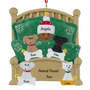 Image of AFRICAN AMERICAN Person Cuddling With 4 Pets In Green Glittered Bed Ornament