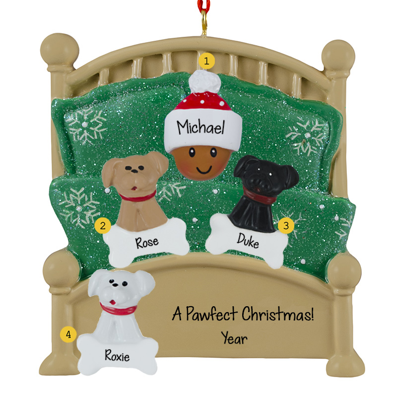 AFRICAN AMERICAN Person With 3 Pets In Green Glittered Bed Ornament ...