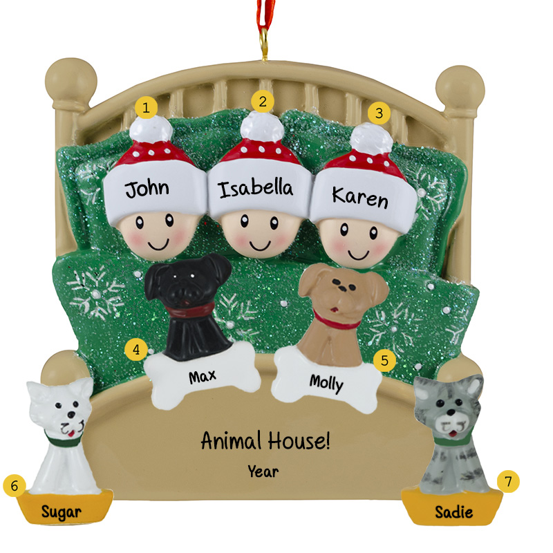 Family Of 3 Cuddling With 4 Pets In Glittered Green Bed Ornament ...