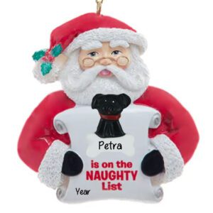 Personalized DOG Is On The NAUGHTY List Scroll Funny Personalized Ornament