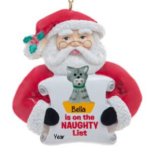 Personalized CAT Is On The NAUGHTY List Scroll Funny Personalized Ornament