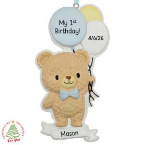 1st Birthday Birthday Ornaments Category Image