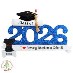 Personalized Puppy School Graduate BLUE Class Of 2026 Ornament